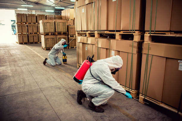 Best Mosquito Control Services  in Weatherly, PA