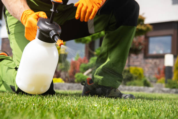 Best Best Pest Control Companies  in Weatherly, PA
