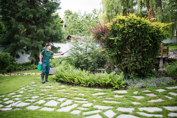 Best Affordable Pest Control Services  in Weatherly, PA