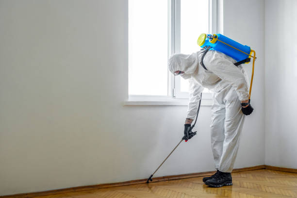 Best Residential Pest Control  in Weatherly, PA