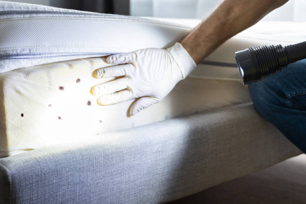 Best Exterminator Services  in Weatherly, PA