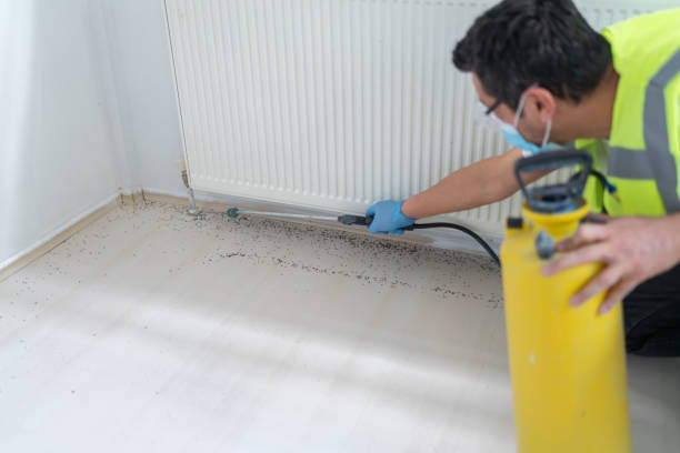 Best Pest Removal Services  in Weatherly, PA